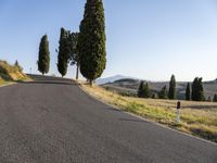 an empty road in the countryside with trees and grass on either side of it with no cars going