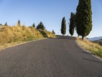 an empty road in the countryside with trees and grass on either side of it with no cars going