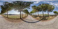 the 360 - view is created with an empty road and many trees near a grassy pasture