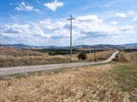 the road is empty near the telephone poles and an open field of wheat and rolling hills