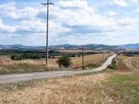 the road is empty near the telephone poles and an open field of wheat and rolling hills