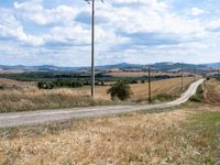 the road is empty near the telephone poles and an open field of wheat and rolling hills