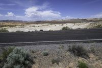 an empty road next to two shrubs near a desert plain in the united states on a sunny day