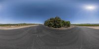 this is a 360 - shot view of an empty road near a vineyard in california