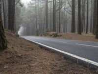 the road is empty of cars in the woods, while the fog is rising up over the trees