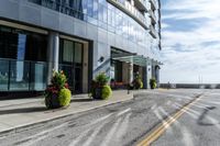 two empty roads beside buildings and trees with potted flowers on each side of the road