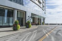 two empty roads beside buildings and trees with potted flowers on each side of the road