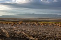 an empty roadway through a dry, empty area near the mountains with sparse grass and plants