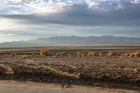 an empty roadway through a dry, empty area near the mountains with sparse grass and plants