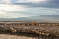 an empty roadway through a dry, empty area near the mountains with sparse grass and plants