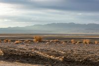 an empty roadway through a dry, empty area near the mountains with sparse grass and plants