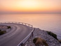 an empty roadway on a cliff overlooking the ocean at sunset with a bird flying over the edge