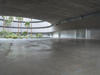 an empty room with light coming through the ceiling and concrete floors to the outside, and palm trees growing from the floor