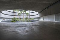 an empty room with light coming through the ceiling and concrete floors to the outside, and palm trees growing from the floor