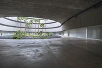 an empty room with light coming through the ceiling and concrete floors to the outside, and palm trees growing from the floor