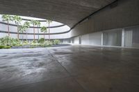 an empty room with light coming through the ceiling and concrete floors to the outside, and palm trees growing from the floor