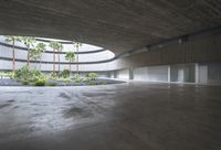 an empty room with light coming through the ceiling and concrete floors to the outside, and palm trees growing from the floor