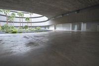 an empty room with light coming through the ceiling and concrete floors to the outside, and palm trees growing from the floor