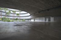 an empty room with light coming through the ceiling and concrete floors to the outside, and palm trees growing from the floor