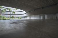 an empty room with light coming through the ceiling and concrete floors to the outside, and palm trees growing from the floor