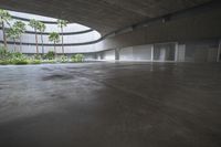 an empty room with light coming through the ceiling and concrete floors to the outside, and palm trees growing from the floor