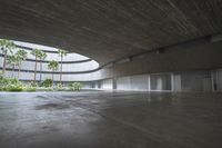 an empty room with light coming through the ceiling and concrete floors to the outside, and palm trees growing from the floor