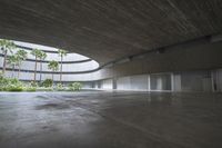 an empty room with light coming through the ceiling and concrete floors to the outside, and palm trees growing from the floor