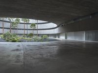 an empty room with light coming through the ceiling and concrete floors to the outside, and palm trees growing from the floor