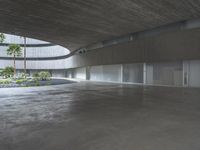 an empty room with light coming through the ceiling and concrete floors to the outside, and palm trees growing from the floor