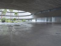 an empty room with light coming through the ceiling and concrete floors to the outside, and palm trees growing from the floor