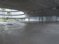 an empty room with light coming through the ceiling and concrete floors to the outside, and palm trees growing from the floor