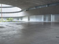 an empty room with light coming through the ceiling and concrete floors to the outside, and palm trees growing from the floor