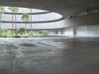 an empty room with light coming through the ceiling and concrete floors to the outside, and palm trees growing from the floor