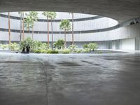 an empty room with light coming through the ceiling and concrete floors to the outside, and palm trees growing from the floor