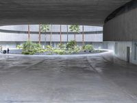 an empty room with light coming through the ceiling and concrete floors to the outside, and palm trees growing from the floor