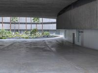 an empty room with light coming through the ceiling and concrete floors to the outside, and palm trees growing from the floor