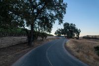 an empty rural road in the middle of nowhere with trees lining both sides and no cars on the middle