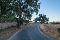 an empty rural road in the middle of nowhere with trees lining both sides and no cars on the middle