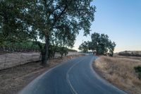 an empty rural road in the middle of nowhere with trees lining both sides and no cars on the middle