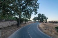 an empty rural road in the middle of nowhere with trees lining both sides and no cars on the middle