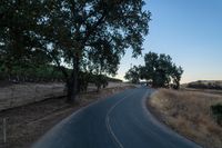 an empty rural road in the middle of nowhere with trees lining both sides and no cars on the middle