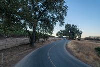 an empty rural road in the middle of nowhere with trees lining both sides and no cars on the middle