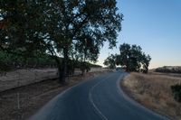 an empty rural road in the middle of nowhere with trees lining both sides and no cars on the middle