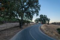 an empty rural road in the middle of nowhere with trees lining both sides and no cars on the middle