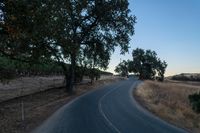 an empty rural road in the middle of nowhere with trees lining both sides and no cars on the middle