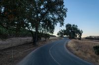 an empty rural road in the middle of nowhere with trees lining both sides and no cars on the middle