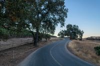 an empty rural road in the middle of nowhere with trees lining both sides and no cars on the middle