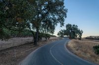 an empty rural road in the middle of nowhere with trees lining both sides and no cars on the middle