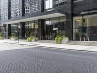 an empty sidewalk and sidewalking with plants in planters on the side and side