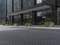 an empty sidewalk and sidewalking with plants in planters on the side and side